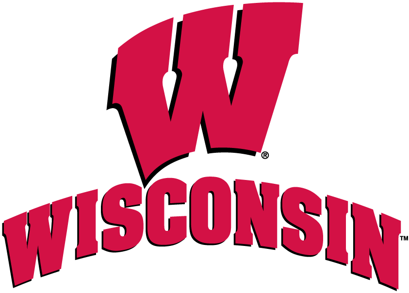 Wisconsin Badgers 2002-Pres Alternate Logo 02 iron on paper